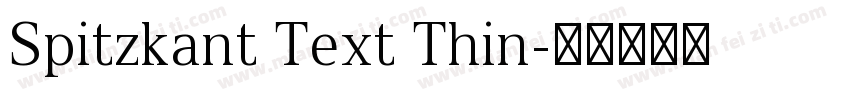 Spitzkant Text Thin字体转换